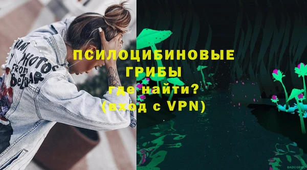 амф Абинск