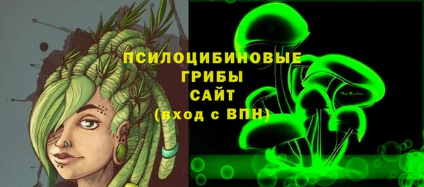 амф Абинск