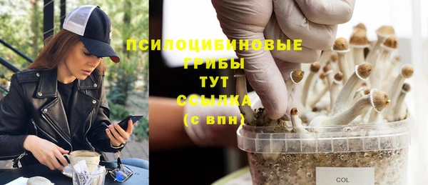 бутират Магас