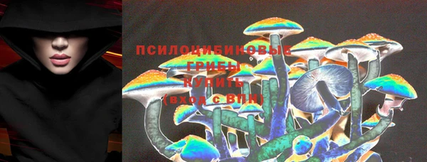 амф Абинск